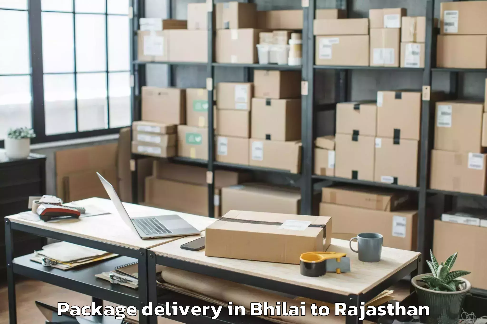 Trusted Bhilai to Jamwa Ramgarh Package Delivery